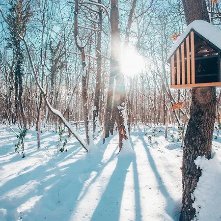 Berc Apartment Kismaros