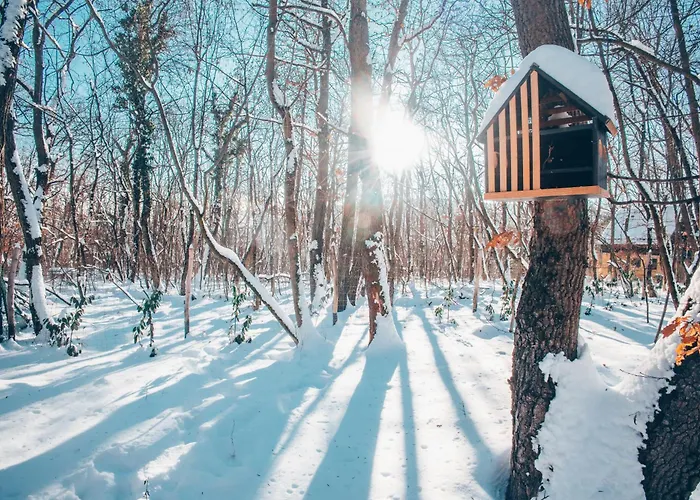 Berc Apartment Kismaros